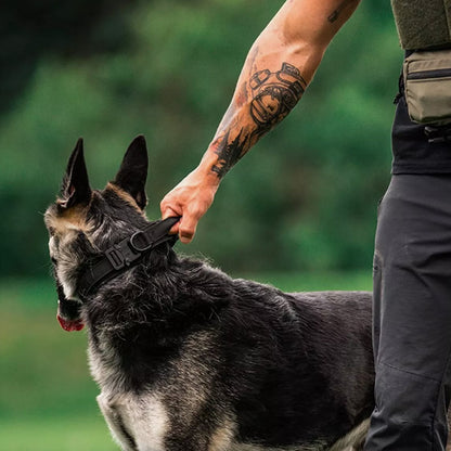 Collier pour chien - Tactique™