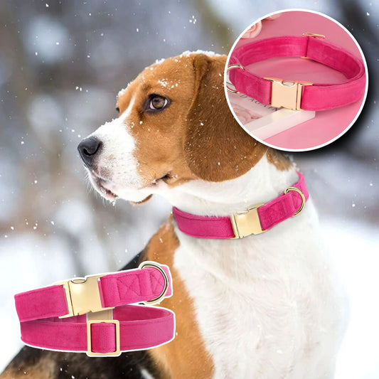 Collier Chien - Velours