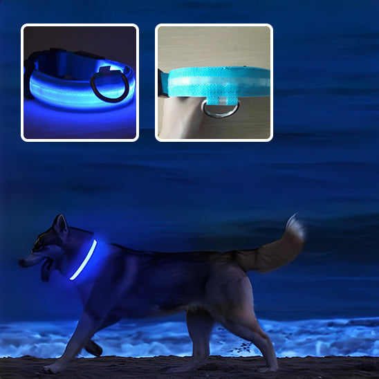 Collier Lumineux Chien - NIGHTBEAM™