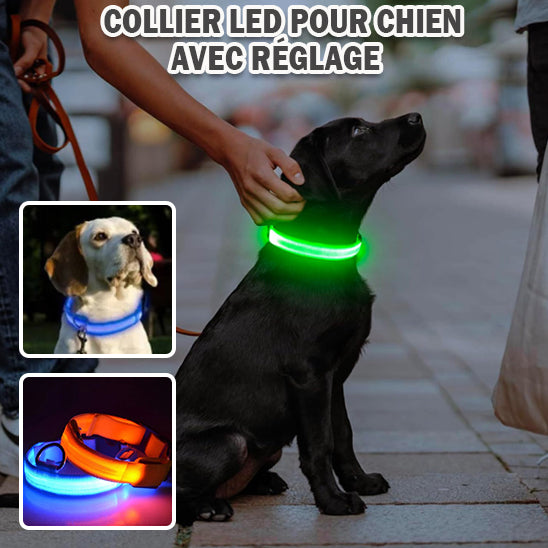 Collier Lumineux Chien - NIGHTBEAM™