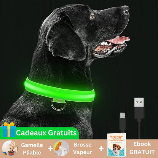 Collier Lumineux Chien - NIGHTBEAM™