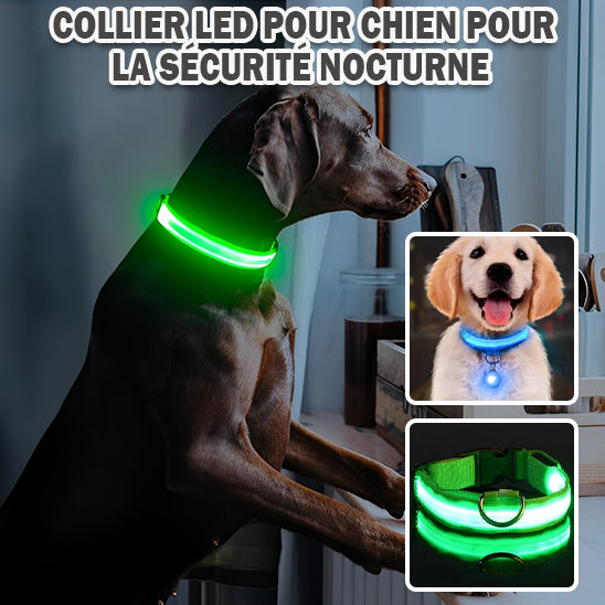 Collier Lumineux Chien - NIGHTBEAM™