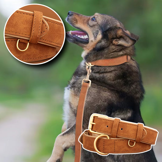 Collier pour Chien - Cuir Rembourré