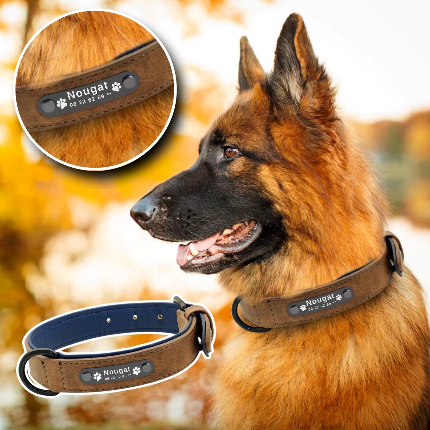 Collier pour Chien Personnalisé - Rembourré