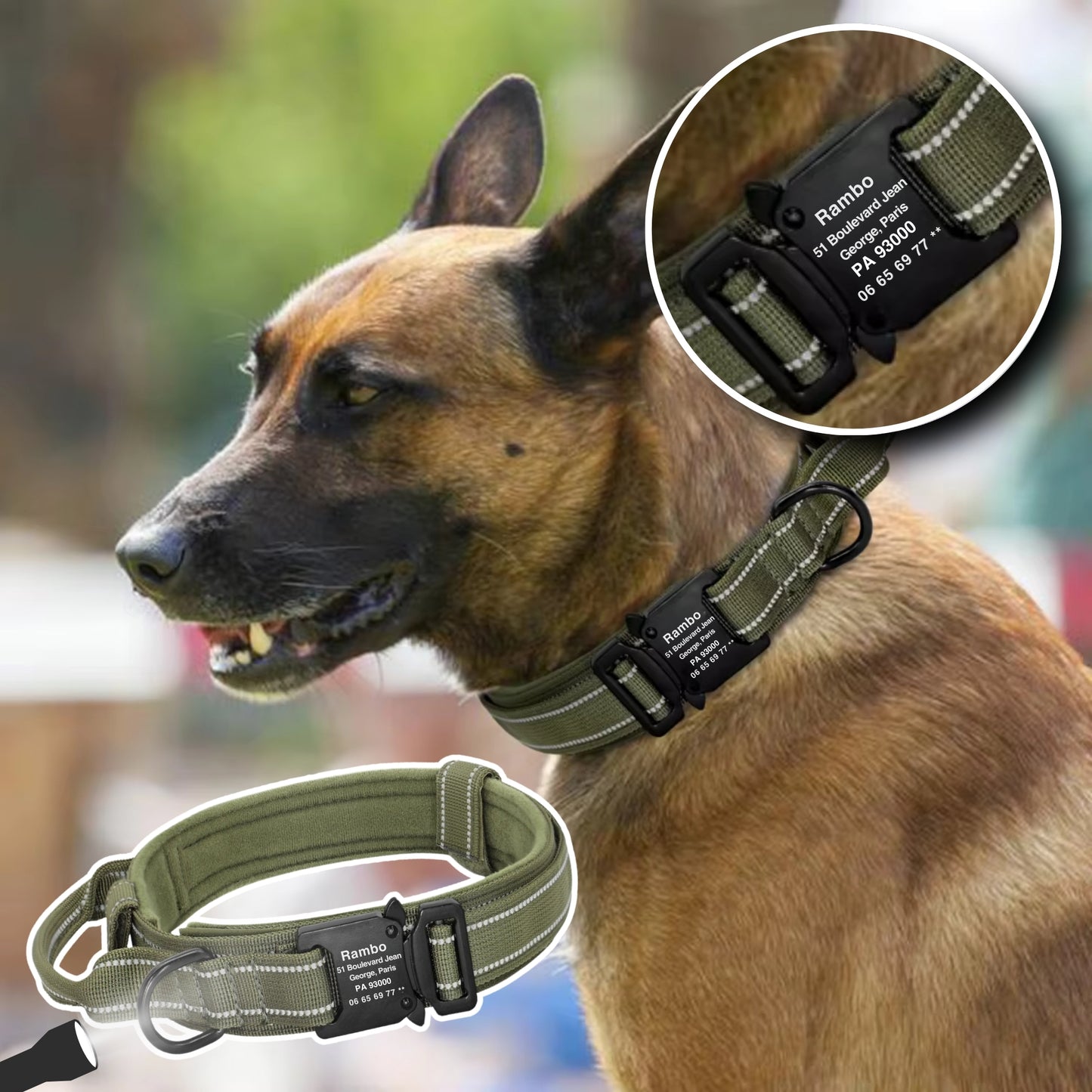 Collier pour Chien Personnalisé - Robuste