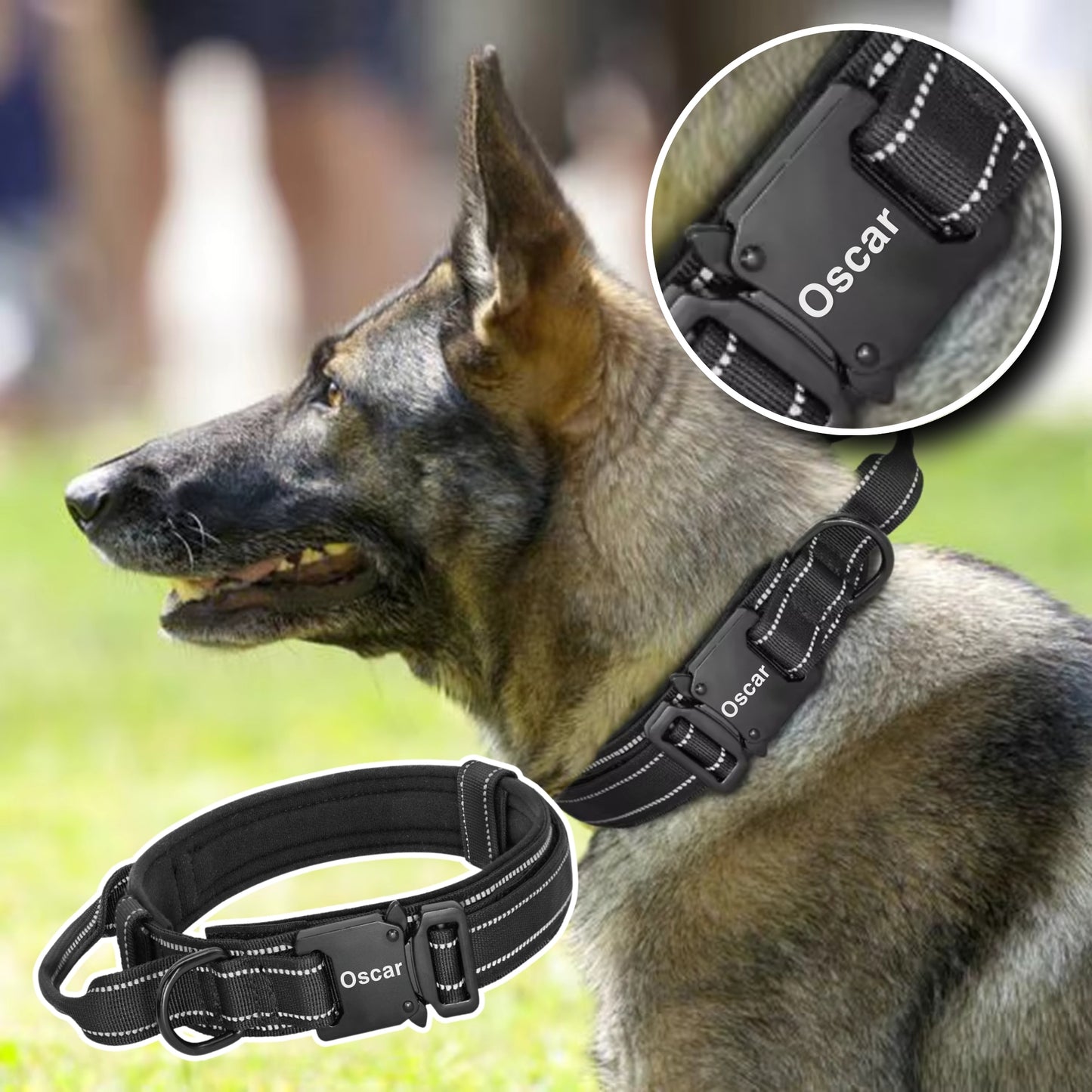 Collier pour Chien Personnalisé - Robuste