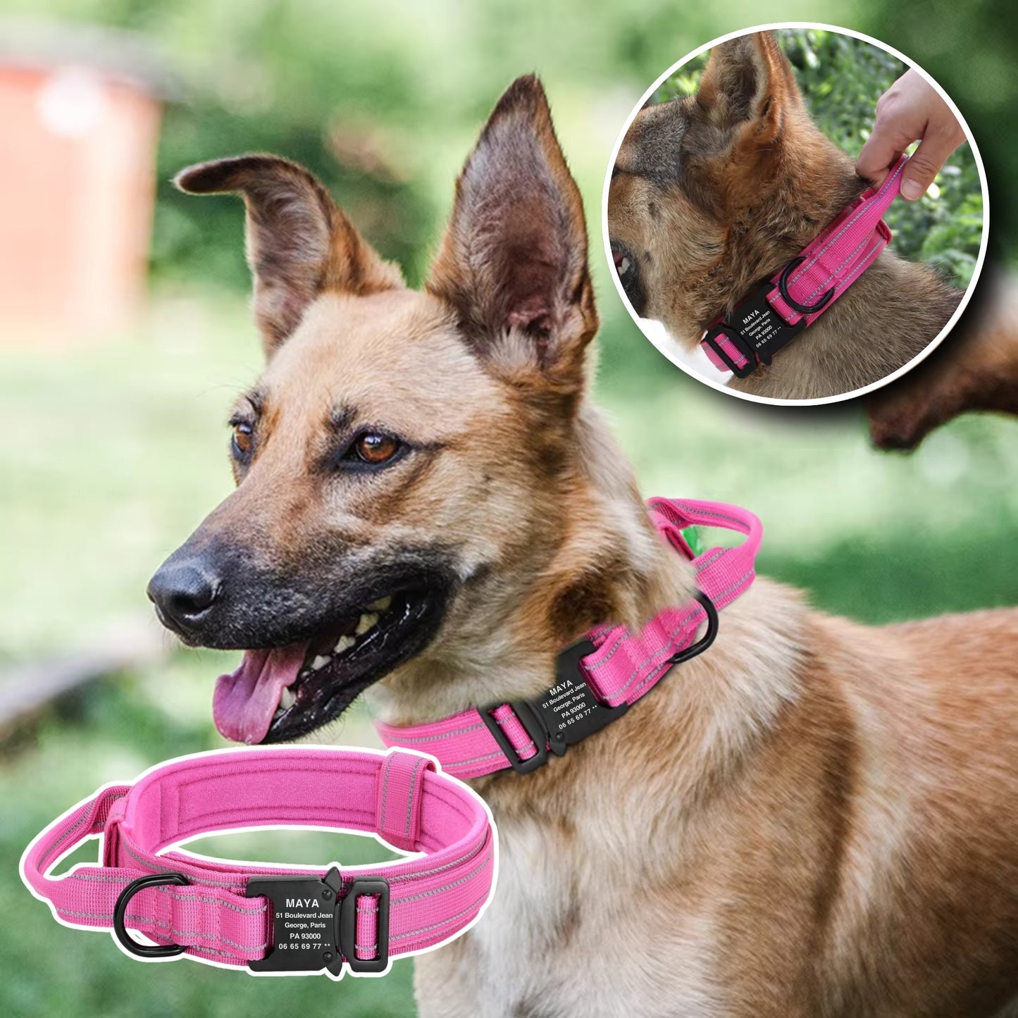 Collier pour Chien Personnalisé - Robuste