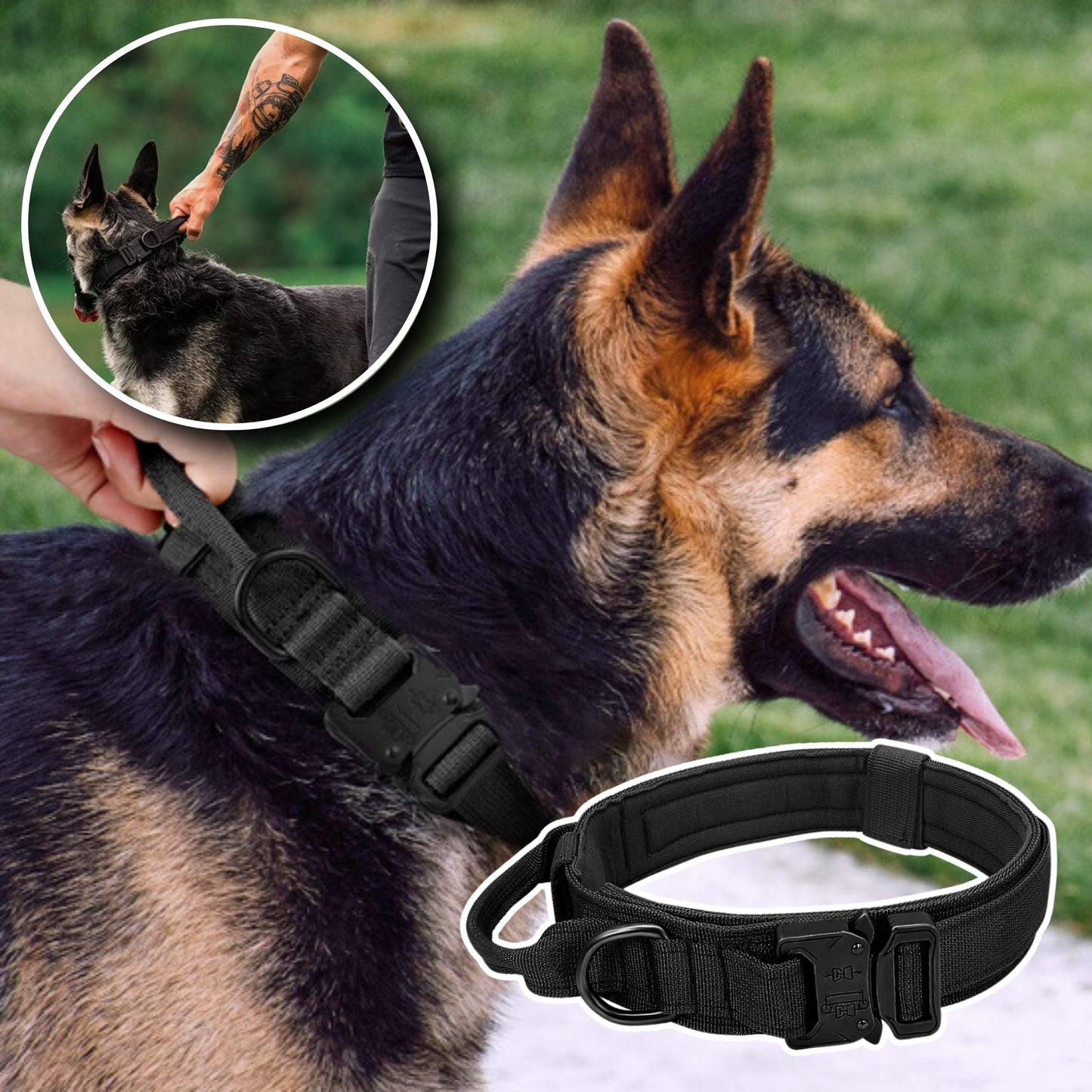 Collier pour chien - Tactique™