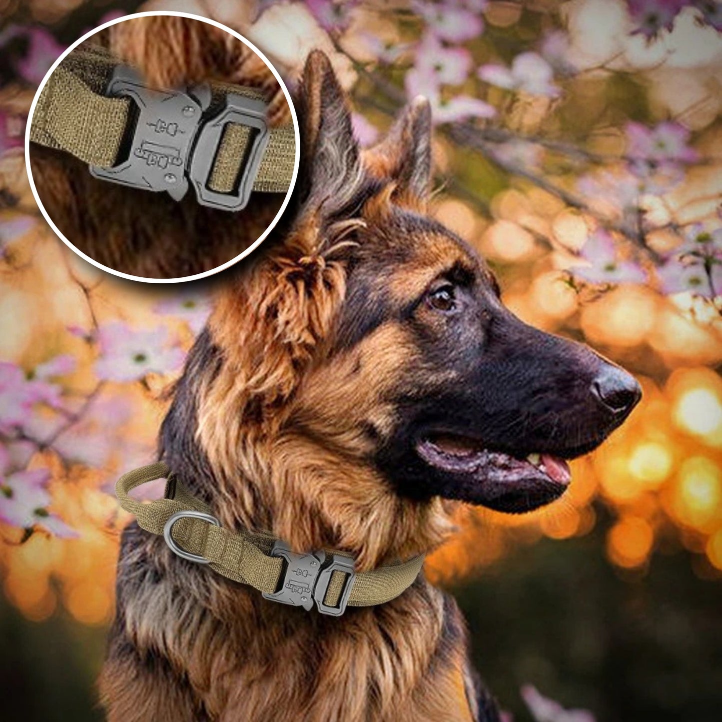 Collier pour chien - Tactique™