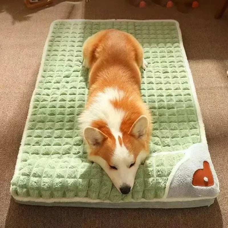 Lit moelleux pour chien
