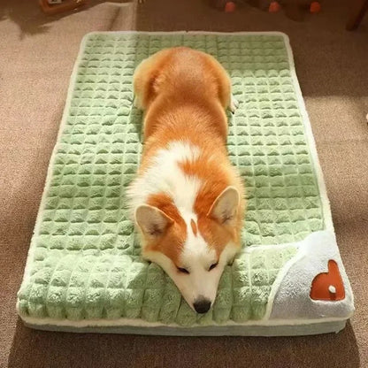 Lit moelleux pour chien