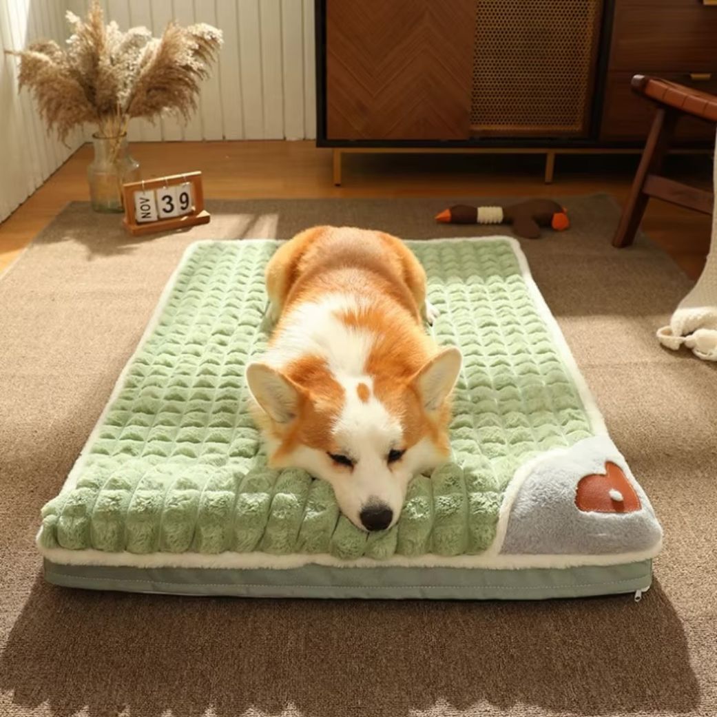 coussin chien dehoussable orthopedique confortable