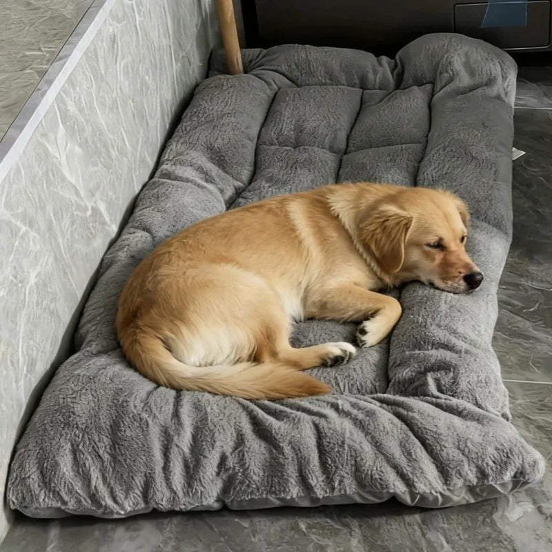 coussin chien xxl confort orthopedique