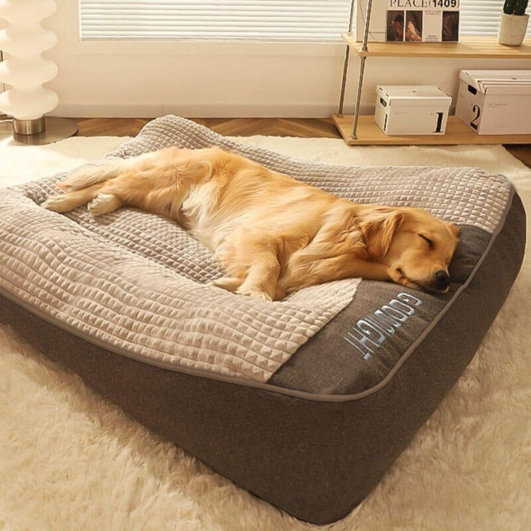 coussin chien xxl orthopédique doux