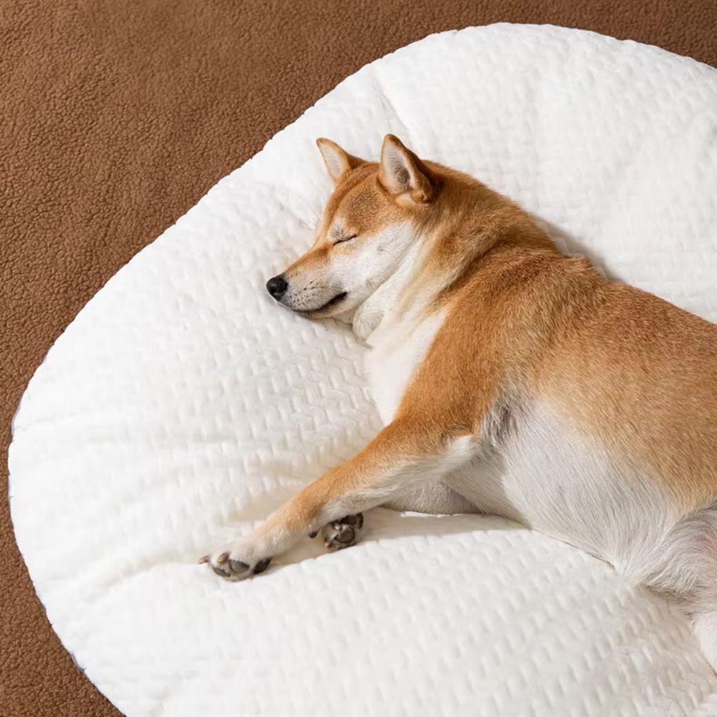 coussin déhoussable pour chien réversible moelleux blanc