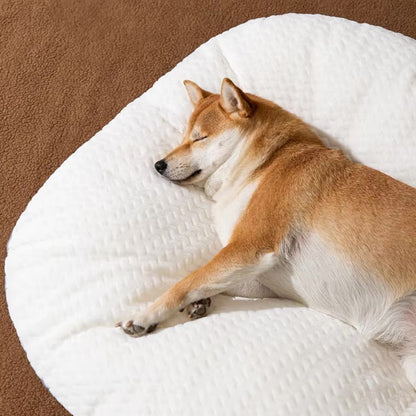 coussin déhoussable pour chien réversible moelleux blanc