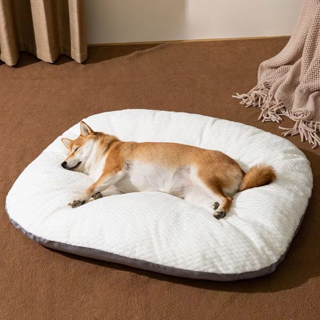 coussin déhoussable pour chien réversible moelleux doux