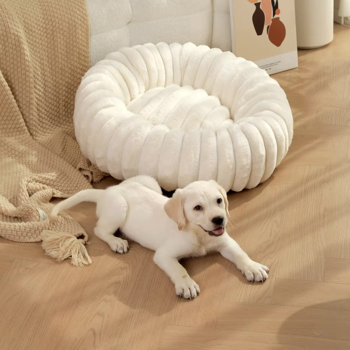 coussin pour chien fourrure douce