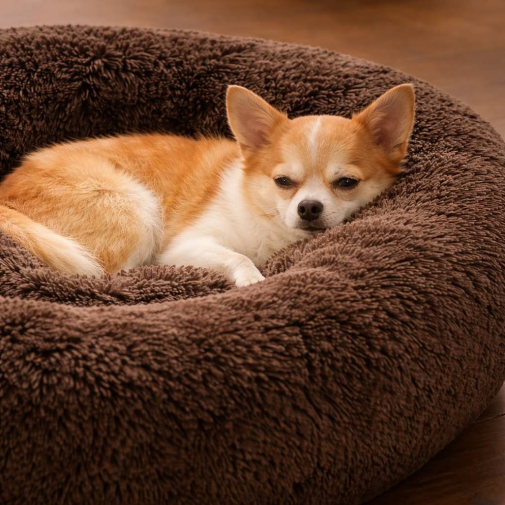 coussin pour chien moelleux cocon marron