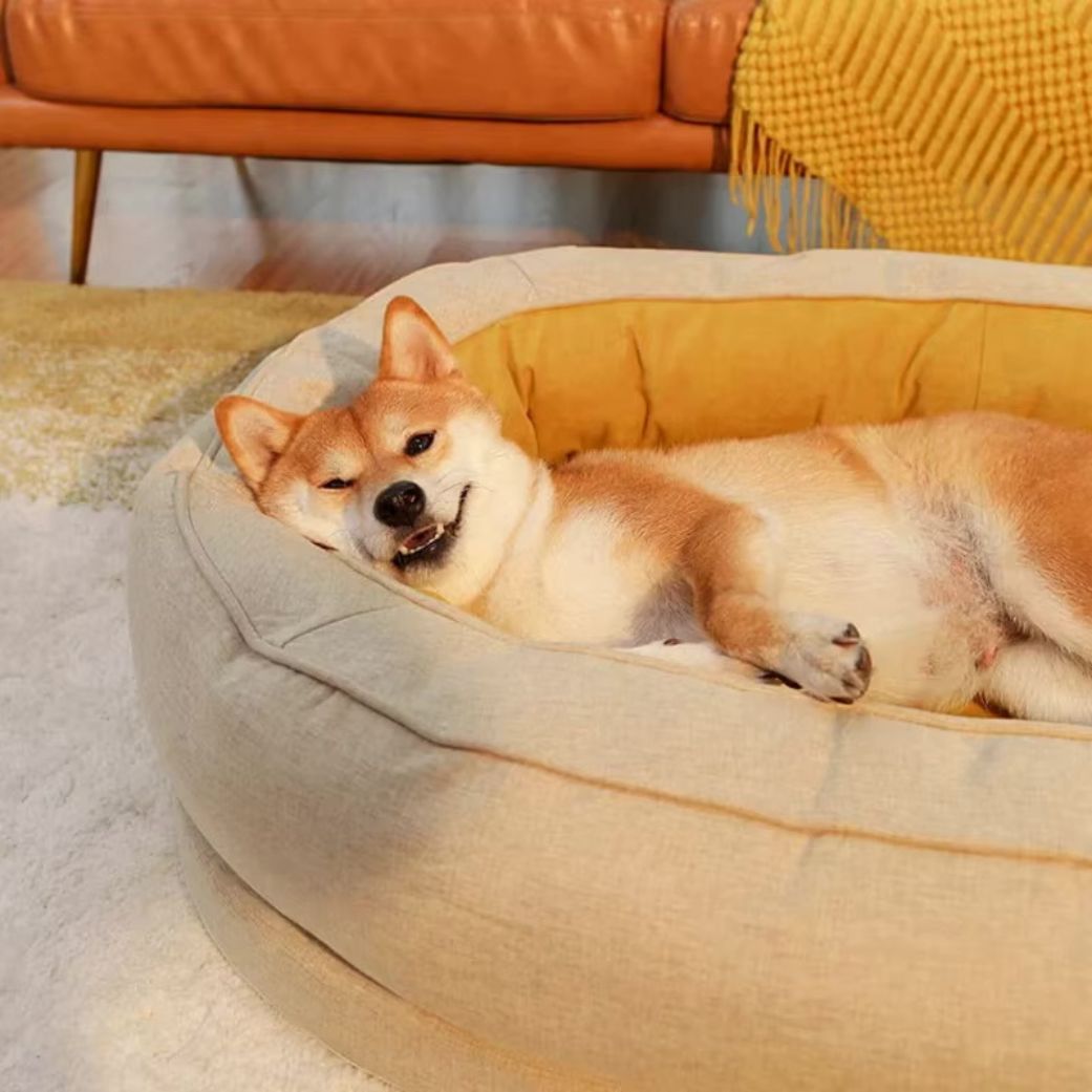 coussin pour chien orthopédique mémoire confortable