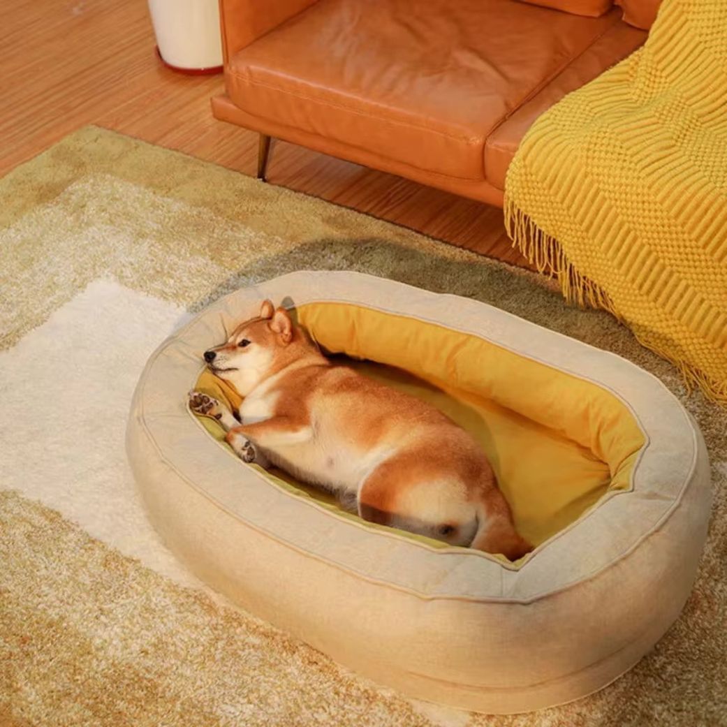 coussin pour chien orthopédique mémoire doux