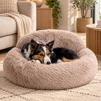 coussin rond pour chien beige chien allonge