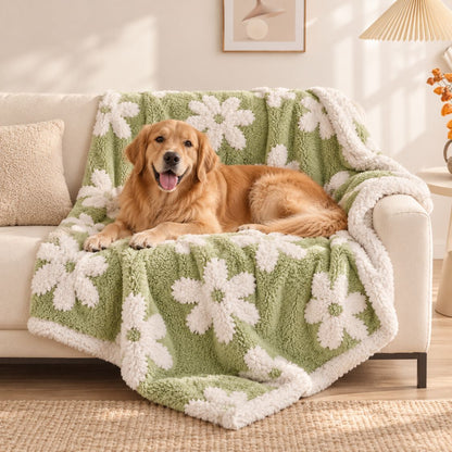 couverture polaire de luxe pour chien verte avec chien