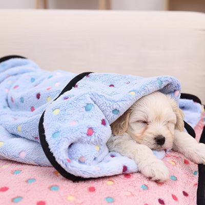 couverture pour chien bleue moelleuse pour chiot