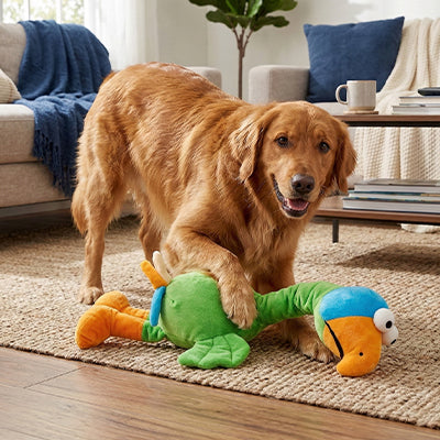 doudou chien oiseau en peluche avec golden retriever qui joue