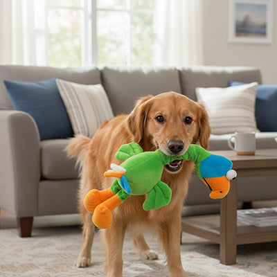 doudou chien oiseau en peluche avec golden retriever