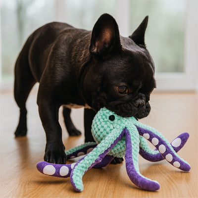 doudou chien poulpe geant vert bouledogue francais noir joue