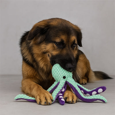 doudou chien poulpe geant vert chiot marron mordille