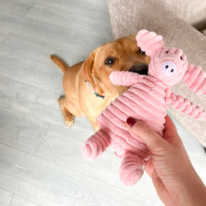 doudou pour chien cochon rose velours côtelé réconfort chiot