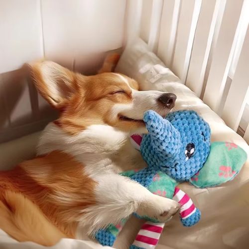 doudou pour chien éléphant bleu réconfort sommeil panier