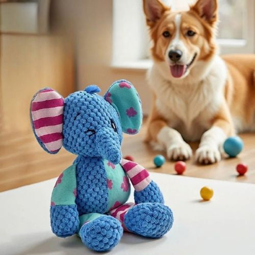 doudou pour chien éléphant couineur texture douce apaisante