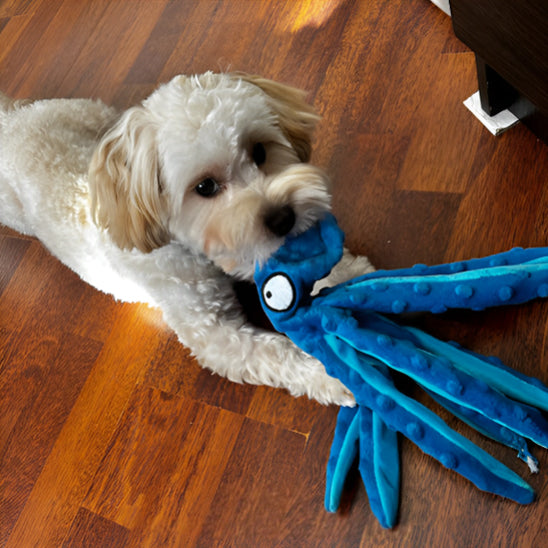 doudou pour chien pieuvre bleue mastication douceur repos
