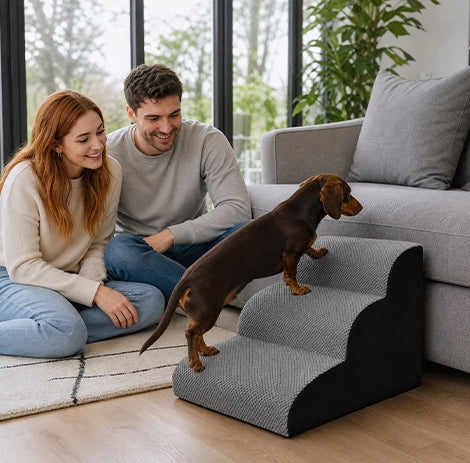 Escalier pour chien en mousse à mémoire de forme avec teckel montant sur un canapé