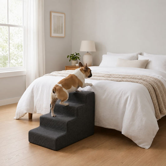 escalier pour chien gris fonce bouledogue francais descente canape