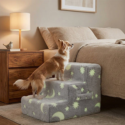 escalier pour chien lumineux étoiles phosphorescentes accès lit nuit