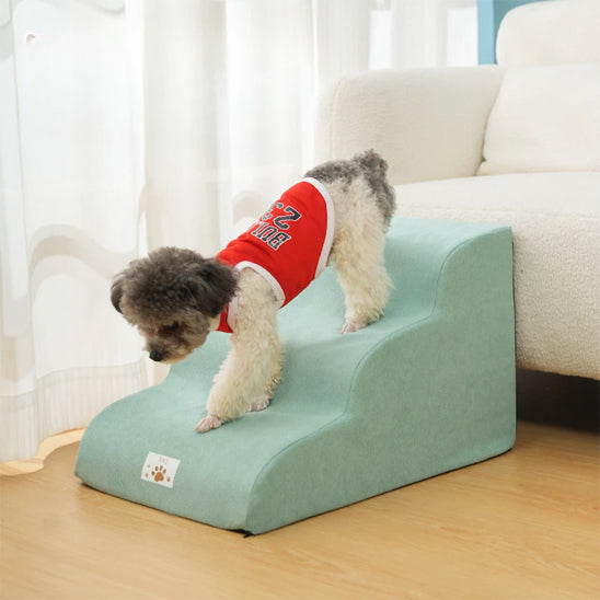 escalier pour chien petit chien bleu montee facile