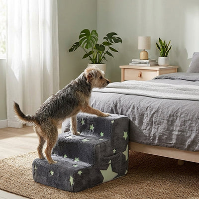 escalier pour chien petit chien étoiles phosphorescentes chambre
