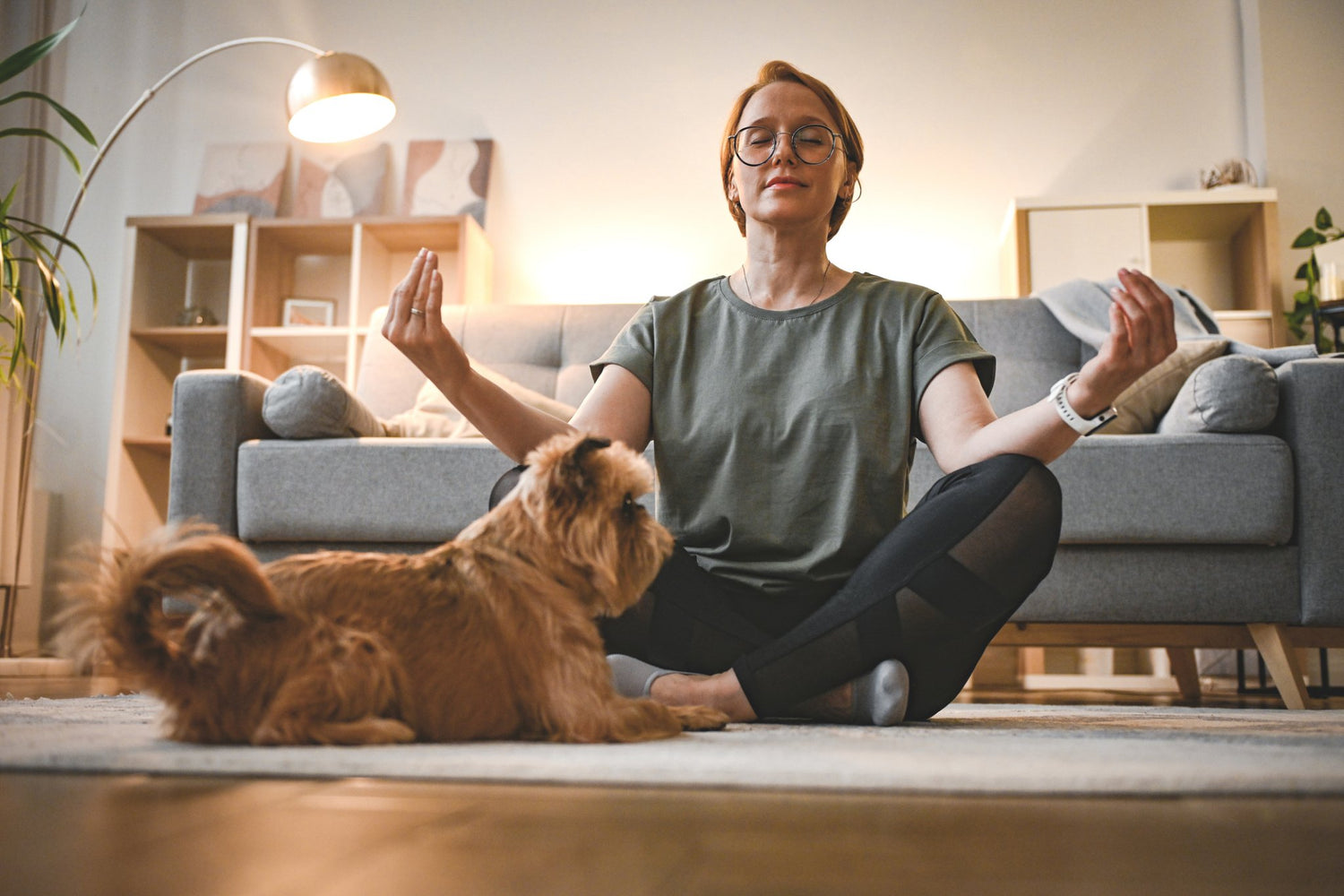 femme relaxee avec son chien apaise dans un salon confortable