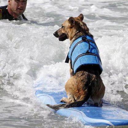 Gilet sauvetage pour chien - FlotiDog