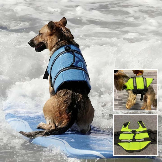 Gilet sauvetage pour chien - FlotiDog