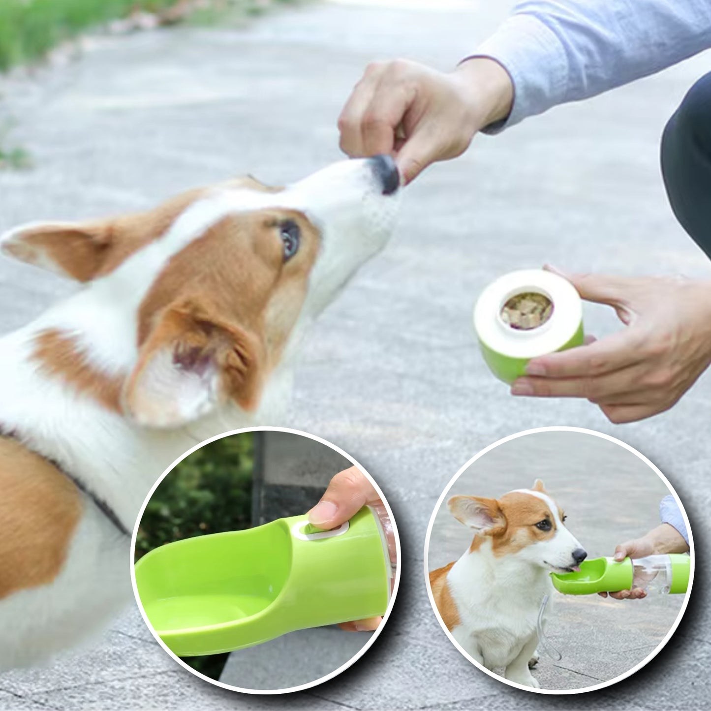 Gourde pour Chien - Modulable