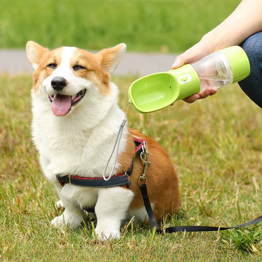 Gourde pour Chien - Modulable
