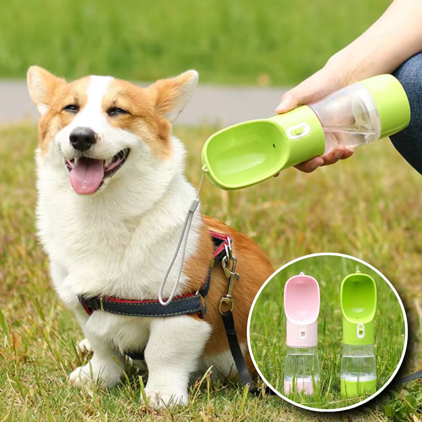 Gourde pour Chien - Modulable