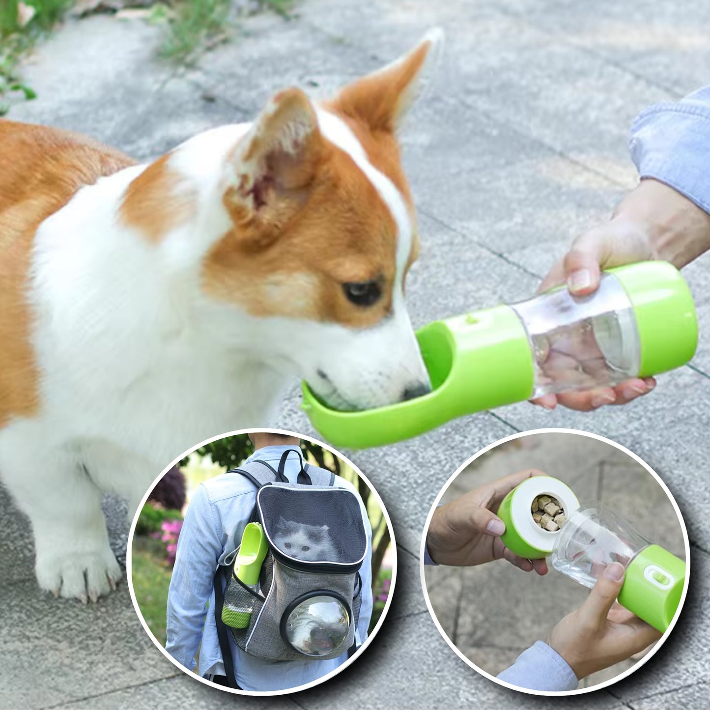 Gourde pour Chien - Modulable