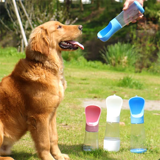 Gourde pour Chien - Multifonction