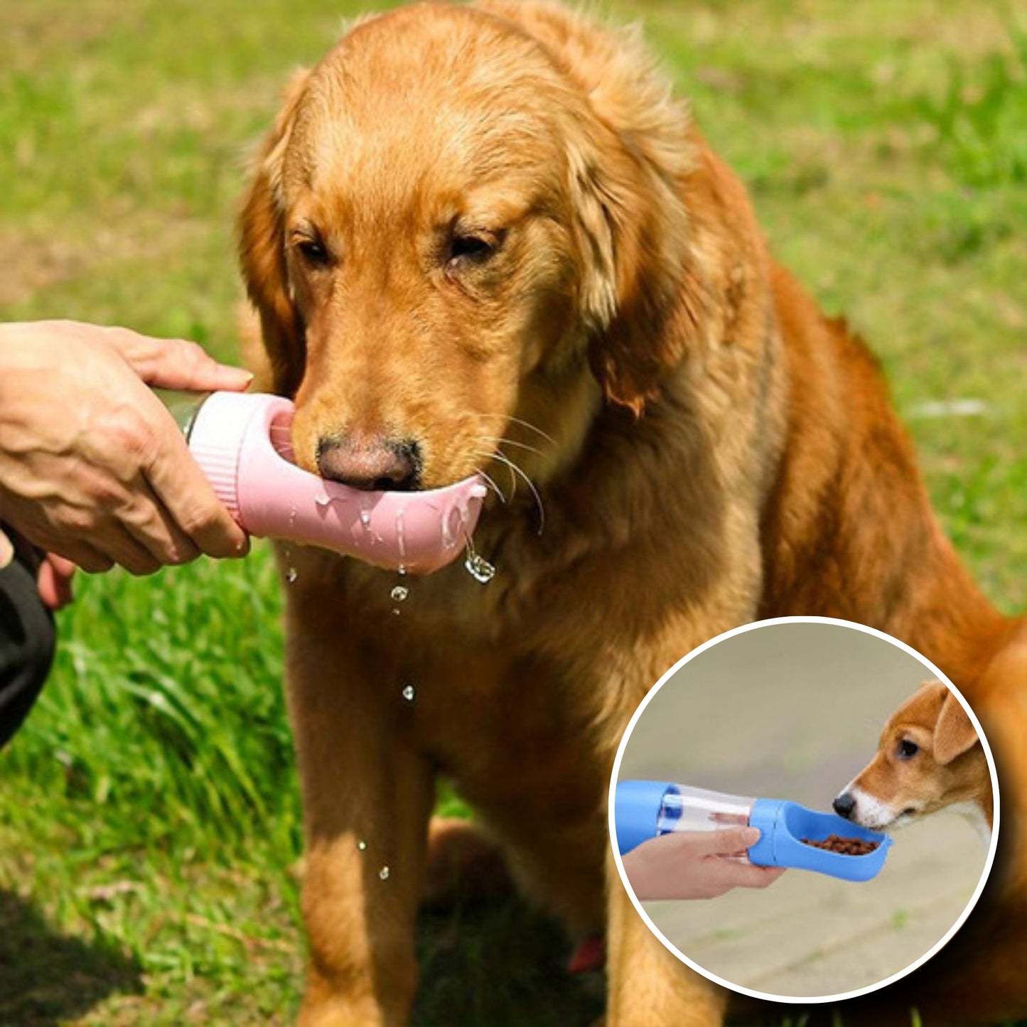 Gourde pour Chien - Multifonction